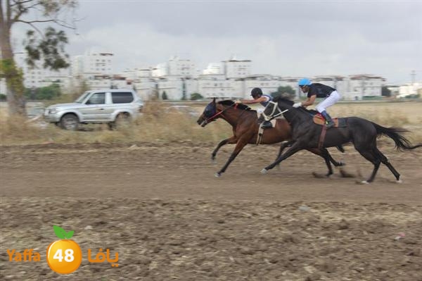 khoyoul lud 0610 (1).JPG